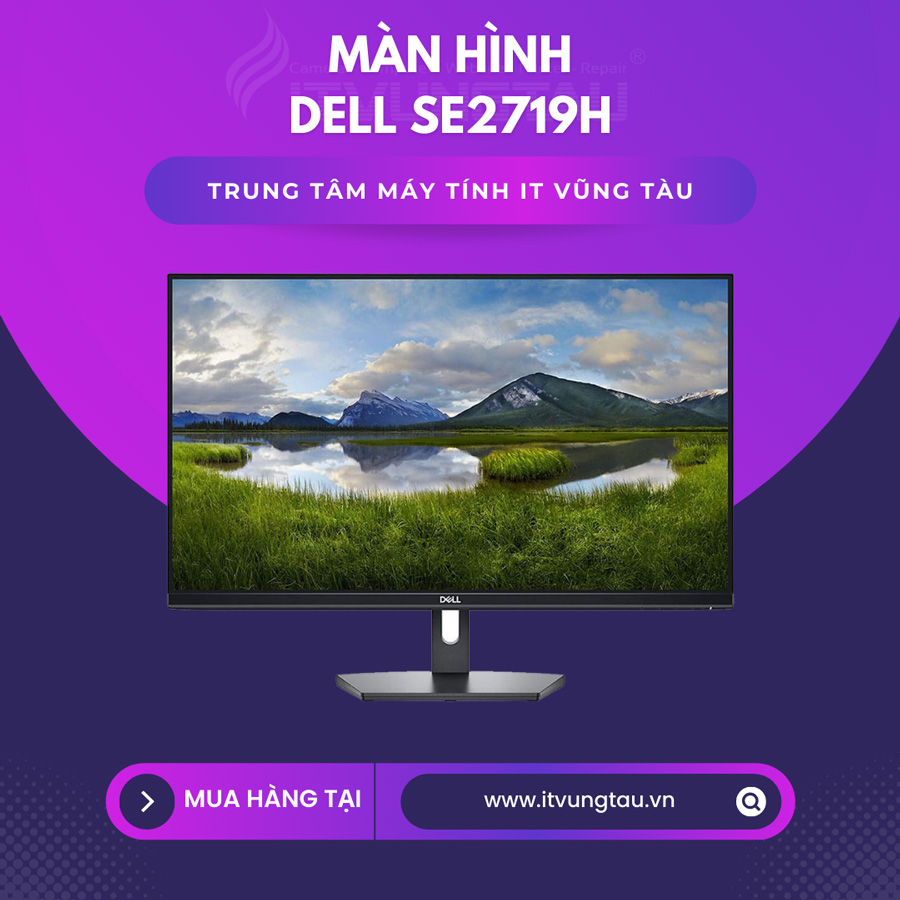 Màn hình Dell SE2719H